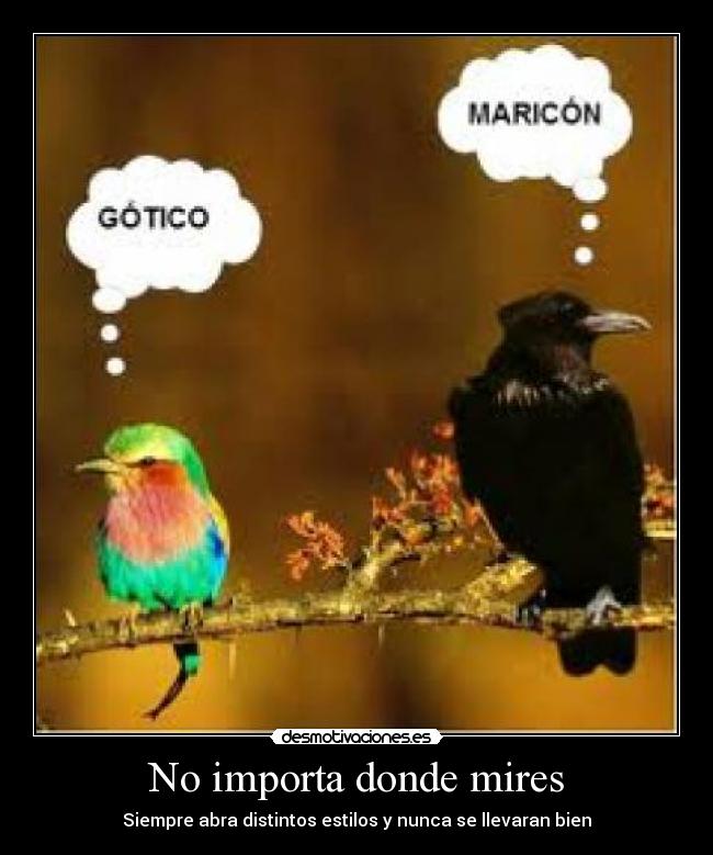 No importa donde mires - Siempre abra distintos estilos y nunca se llevaran bien