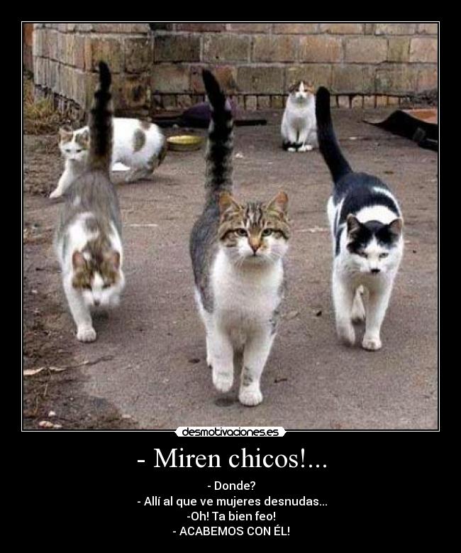 - Miren chicos!... - - Donde?
 - Allí al que ve mujeres desnudas...
-Oh! Ta bien feo!
- ACABEMOS CON ÉL!