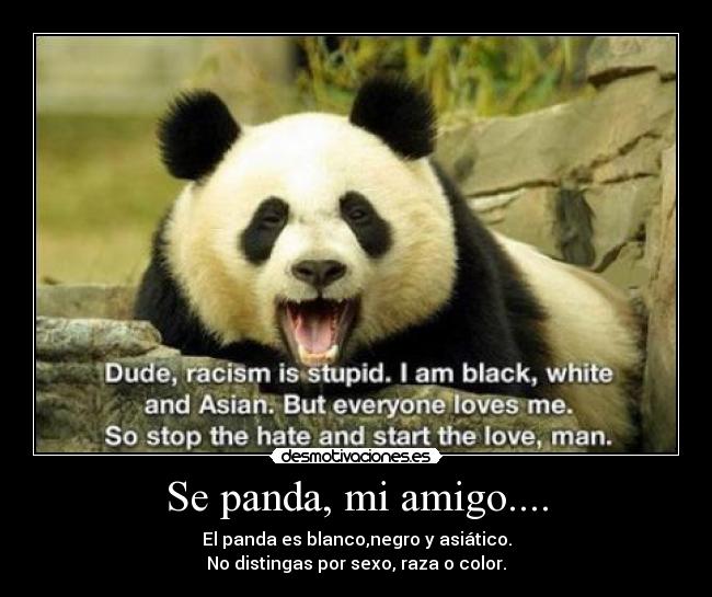 carteles parafraseando bruce lee desmotivaciones