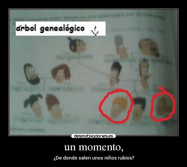 un momento, - ¿De donde salen unos niños rubios?