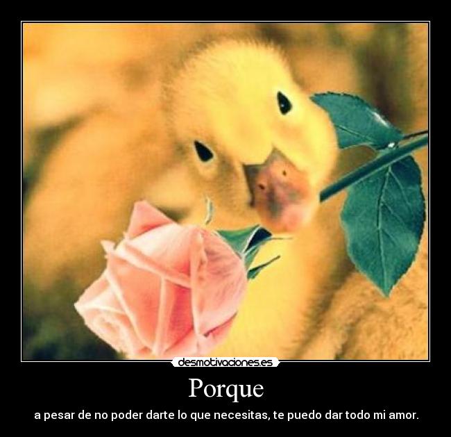 Porque - a pesar de no poder darte lo que necesitas, te puedo dar todo mi amor.