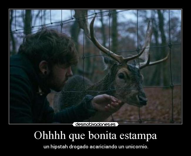 Ohhhh que bonita estampa - un hipstah drogado acariciando un unicornio.