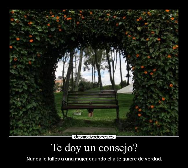 carteles consejo desmotivaciones