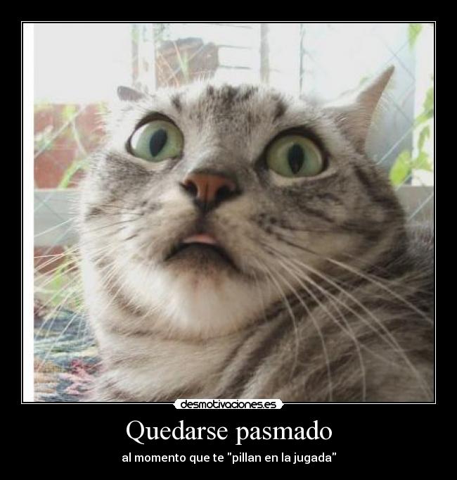 Quedarse pasmado - al momento que te pillan en la jugada
