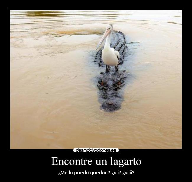 carteles locos animales desmotivaciones