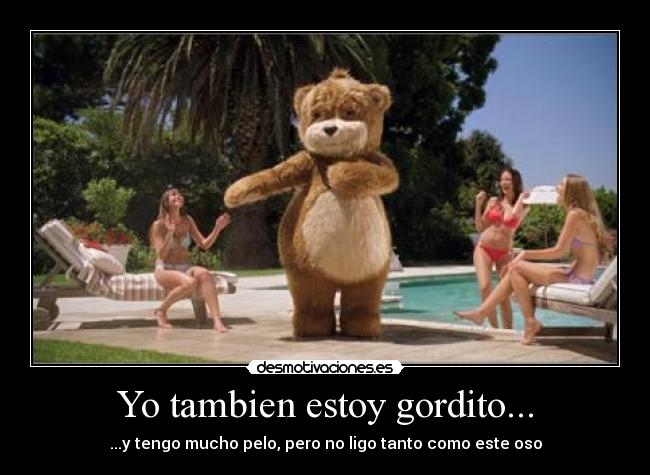 Yo tambien estoy gordito... - ...y tengo mucho pelo, pero no ligo tanto como este oso