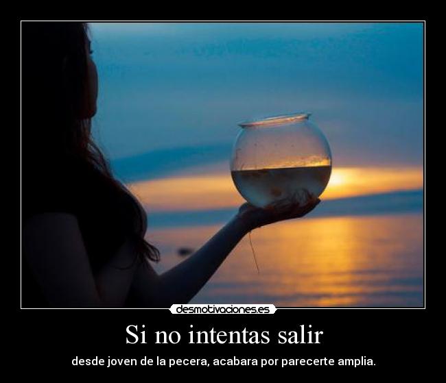 Si no intentas salir - desde joven de la pecera, acabara por parecerte amplia.