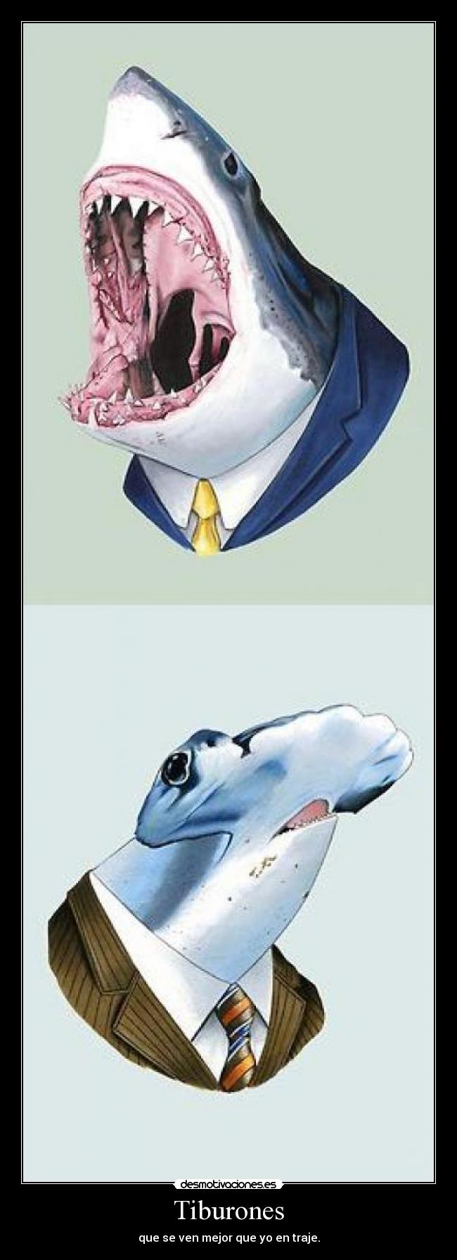 carteles shark desmotivaciones