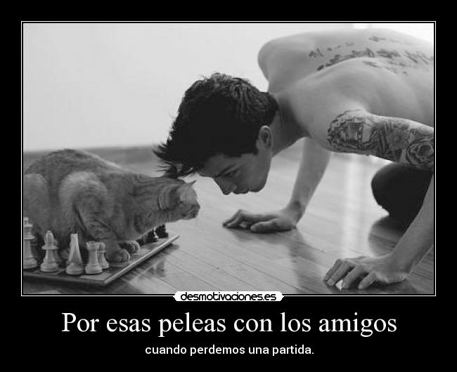 carteles amigos amigos desmotivaciones