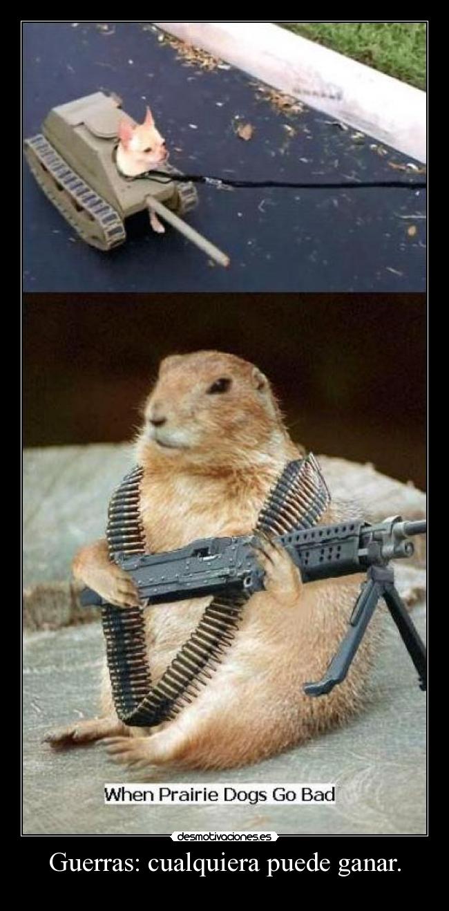 Guerras: cualquiera puede ganar. - 