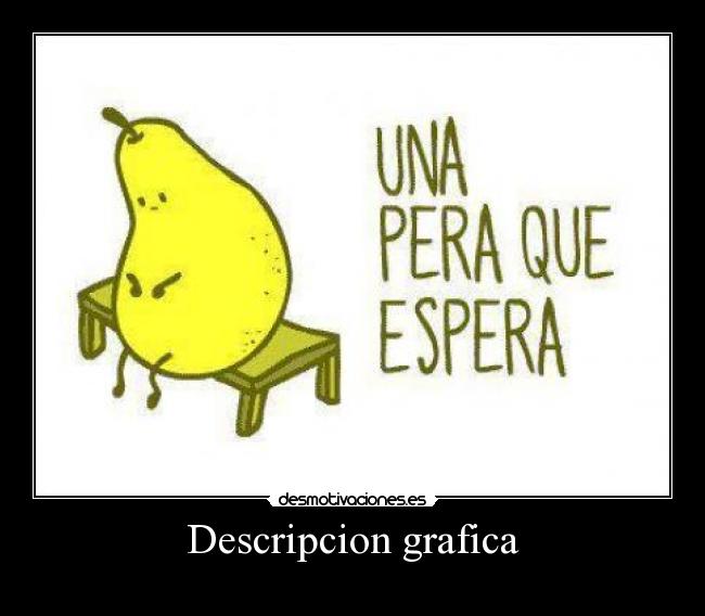 Descripcion grafica - 