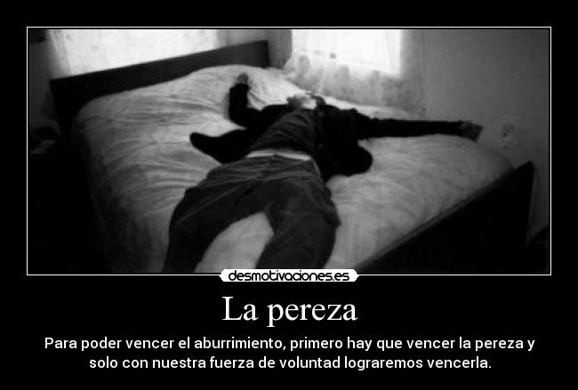 carteles pereza aburrimiento desmotivaciones