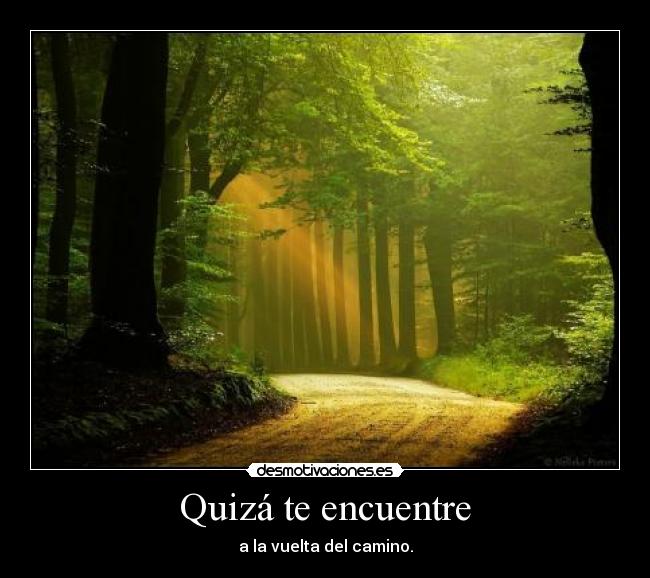 Quizá te encuentre -