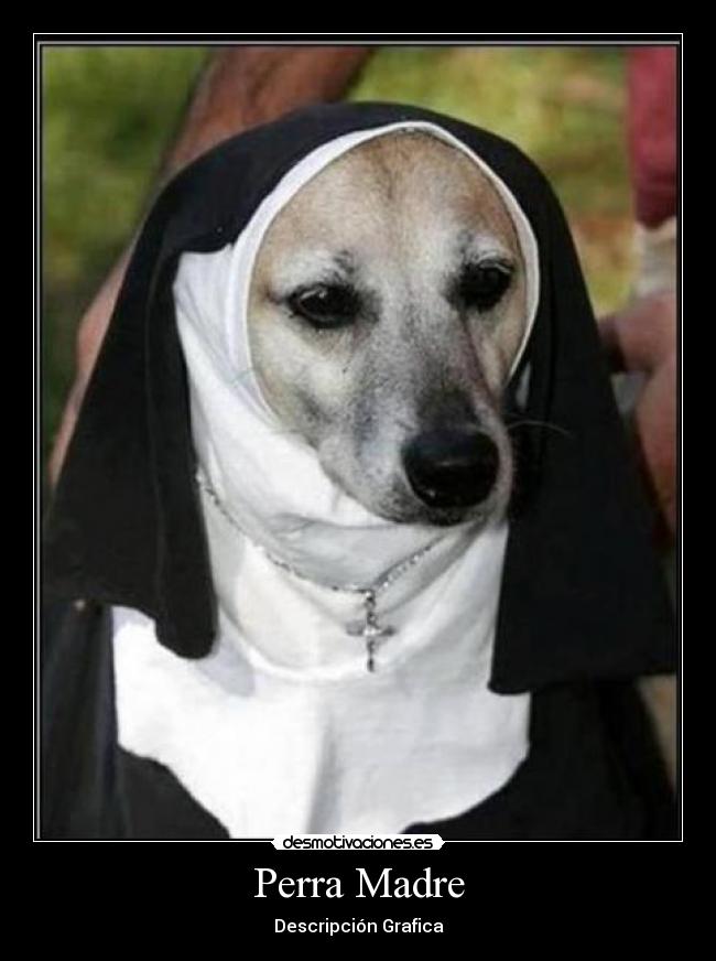 Perra Madre - Descripción Grafica