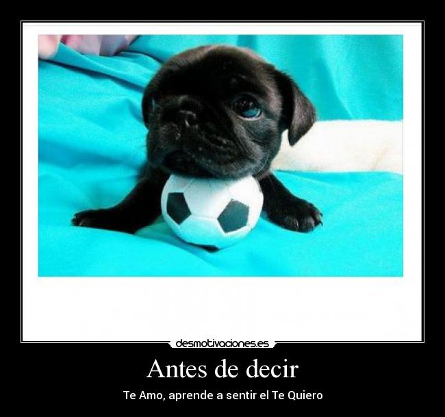Antes de decir - 