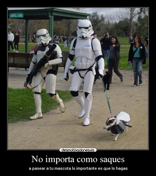 No importa como saques - a pasear a tu mascota lo importante es que lo hagas