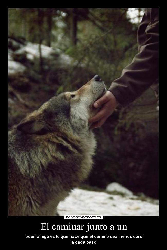 El caminar junto a un - buen amigo es lo que hace que el camino sea menos duro
a cada paso