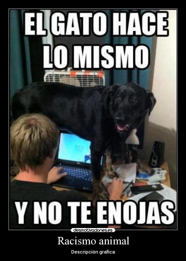 Racismo animal - Descripción grafica