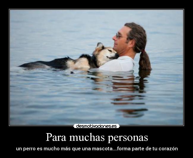 Para muchas personas - un perro es mucho más que una mascota....forma parte de tu corazón