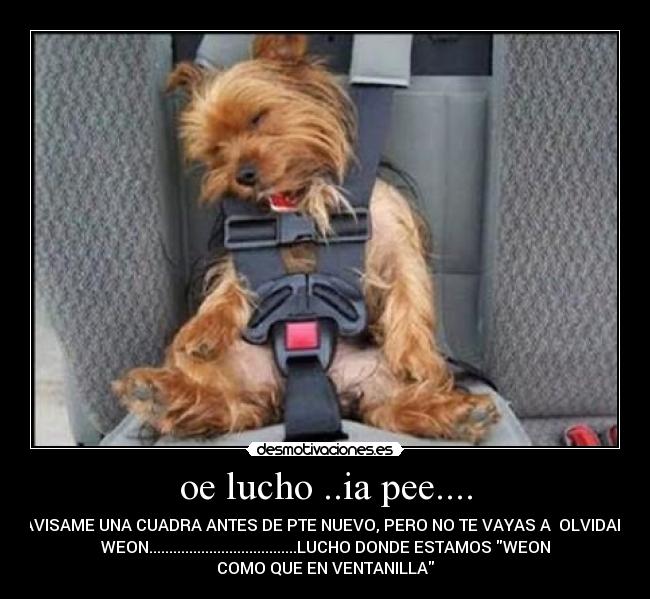 oe lucho ..ia pee.... - AVISAME UNA CUADRA ANTES DE PTE NUEVO, PERO NO TE VAYAS A  OLVIDAR
WEON.....................................LUCHO DONDE ESTAMOS WEON
COMO QUE EN VENTANILLA