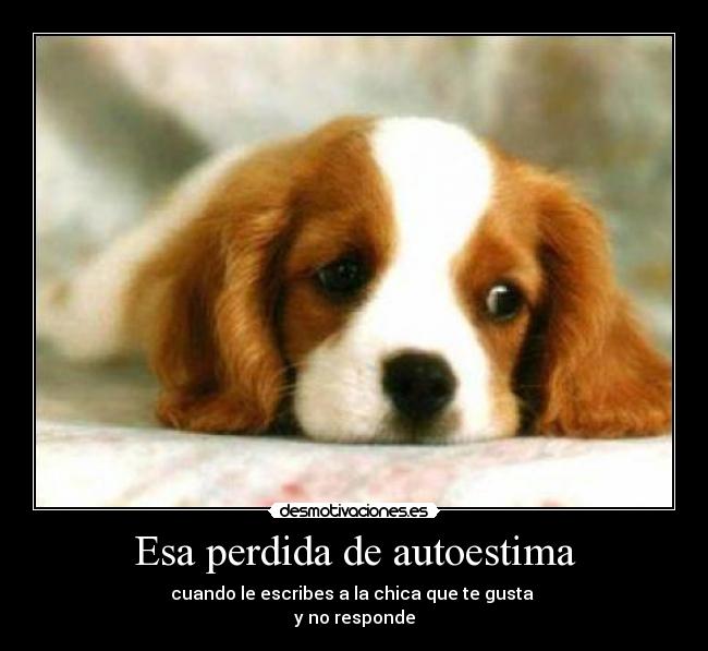 Esa perdida de autoestima - cuando le escribes a la chica que te gusta
y no responde