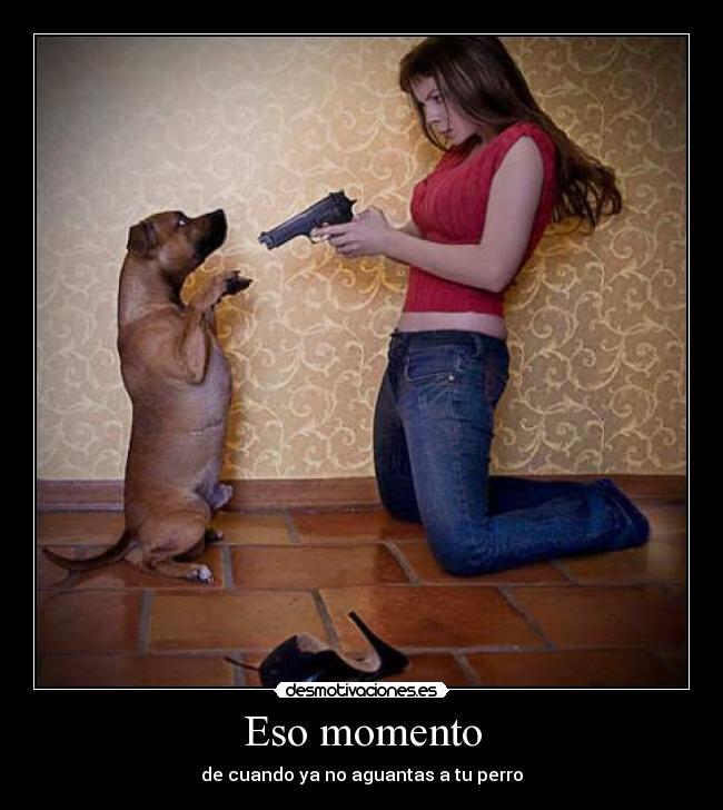 carteles cristianrobles desmotivaciones