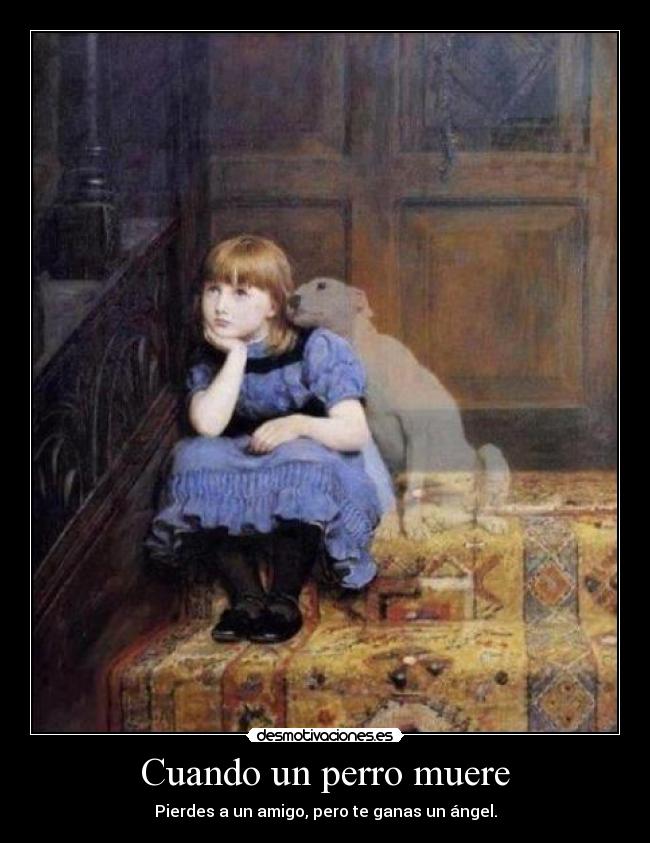 Cuando un perro muere -