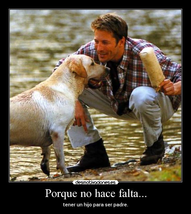 carteles perro hijo padres hola adios desmotivaciones