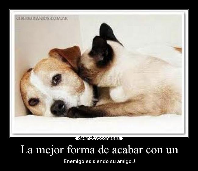 La mejor forma de acabar con un - Enemigo es siendo su amigo..!