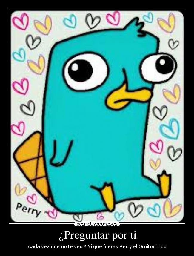 ¿Preguntar por ti - cada vez que no te veo ? Ni que fueras Perry el Ornitorrinco