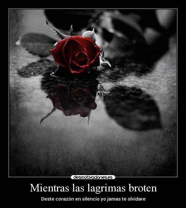 carteles  desmotivaciones