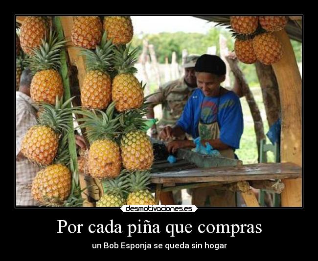 Por cada piña que compras -