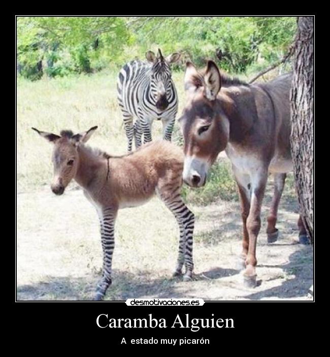 carteles picaron desmotivaciones