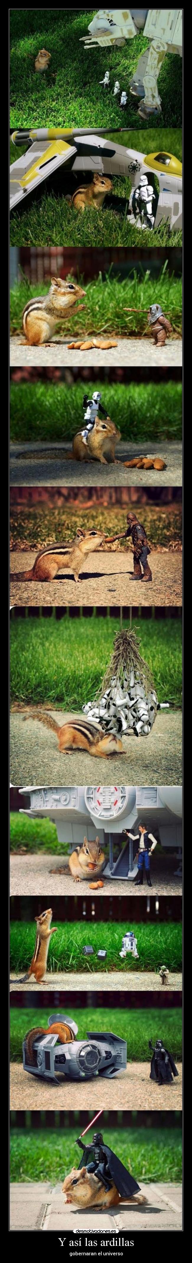 Y así las ardillas - 