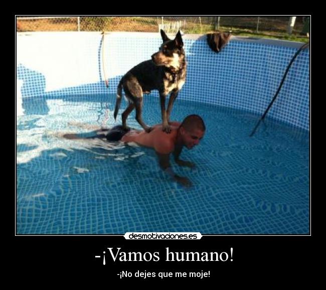 -¡Vamos humano! - -¡No dejes que me moje!