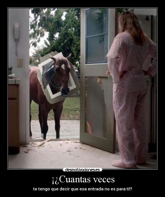 ¡¿Cuantas veces -