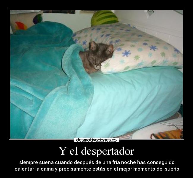 Y el despertador - siempre suena cuando después de una fría noche has conseguido
calentar la cama y precisamente estás en el mejor momento del sueño