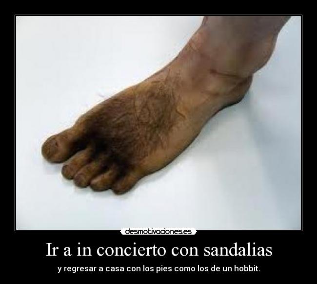 Ir a in concierto con sandalias - y regresar a casa con los pies como los de un hobbit.