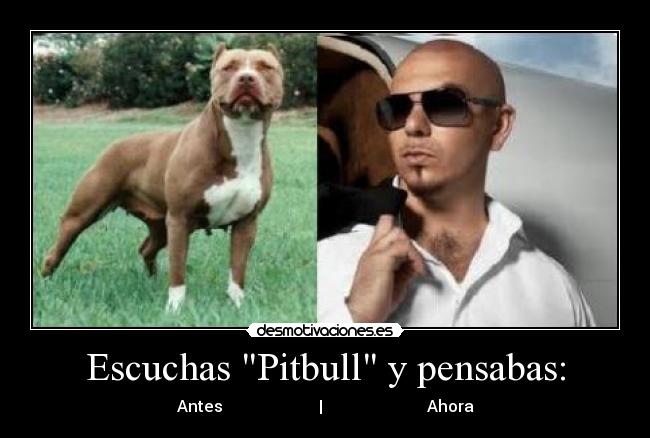 Escuchas Pitbull y pensabas: - Antes | Ahora