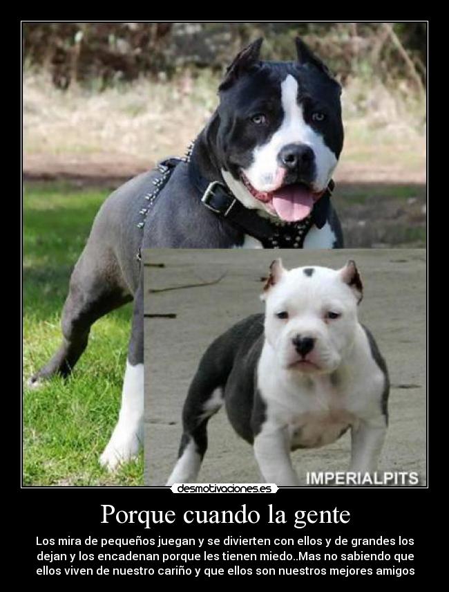 Porque cuando la gente - 