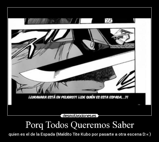 Porq Todos Queremos Saber - quien es el de la Espada (Maldito Tite Kubo por pasarte a otra escena D:< )