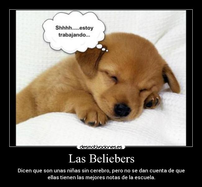 carteles beliebers desmotivaciones