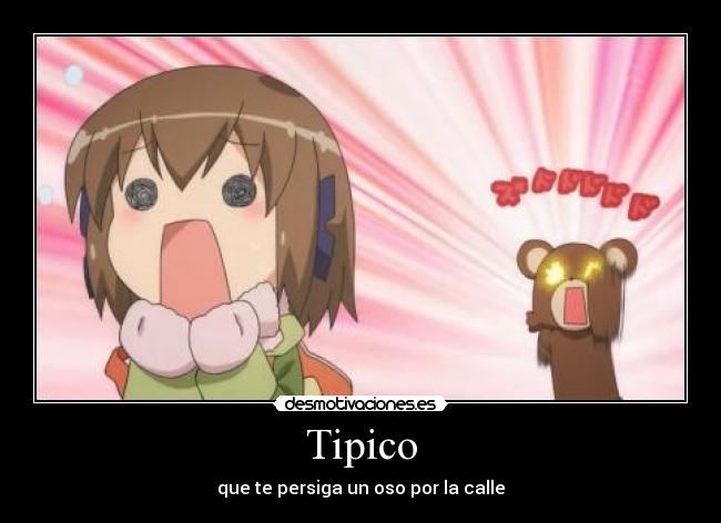 Tipico - que te persiga un oso por la calle