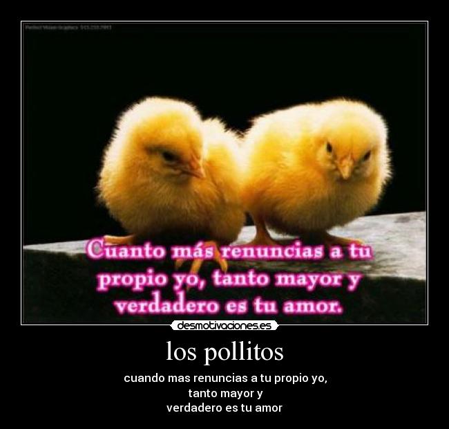 los pollitos -
