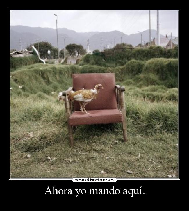 Ahora yo mando aquí. -