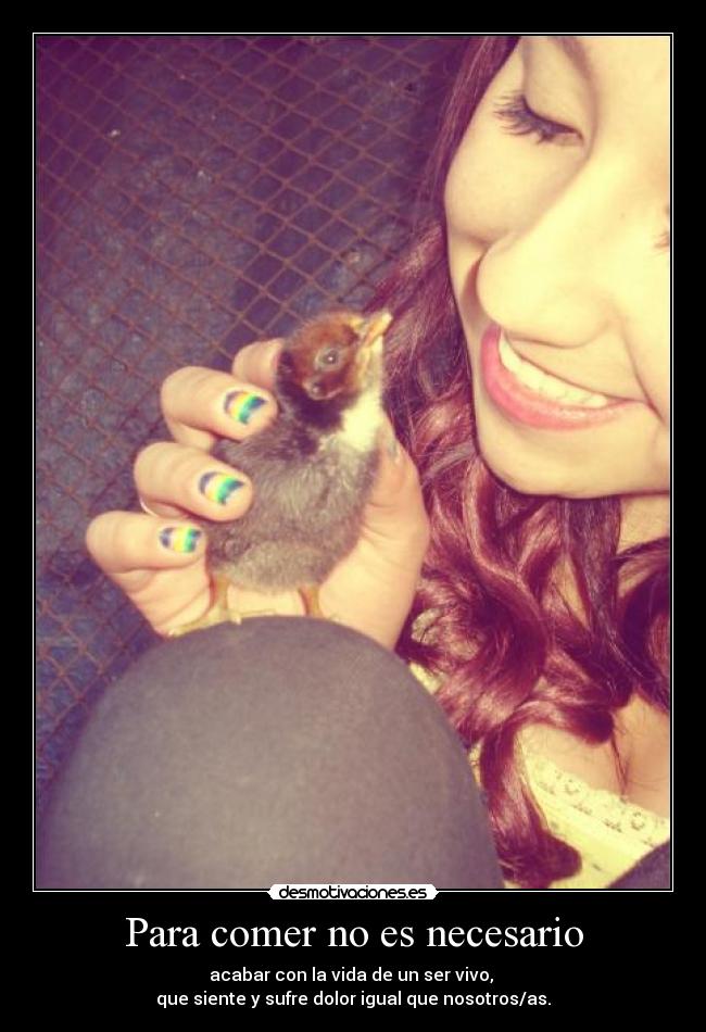 Para comer no es necesario -