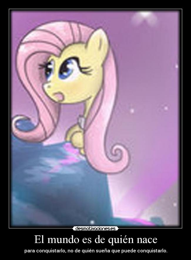 carteles mundo tkmmaru carteles megacartel desmotivaciones