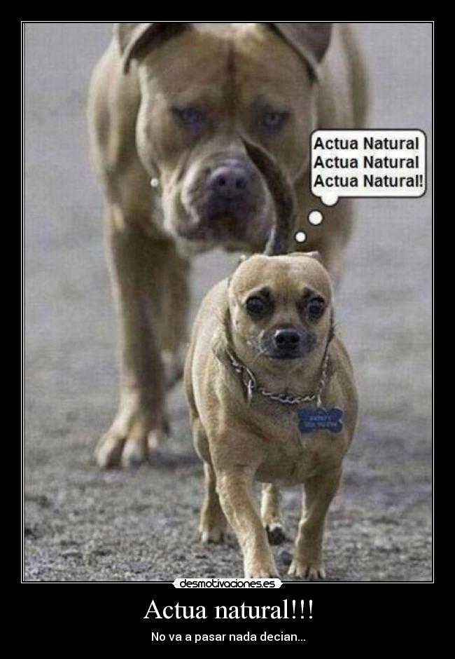 Actua natural!!! - No va a pasar nada decian...
