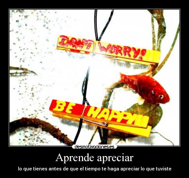 Aprende apreciar -