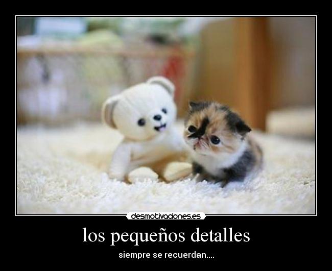carteles los pequenos detalles desmotivaciones